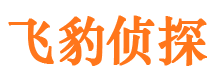 烟台市侦探调查公司